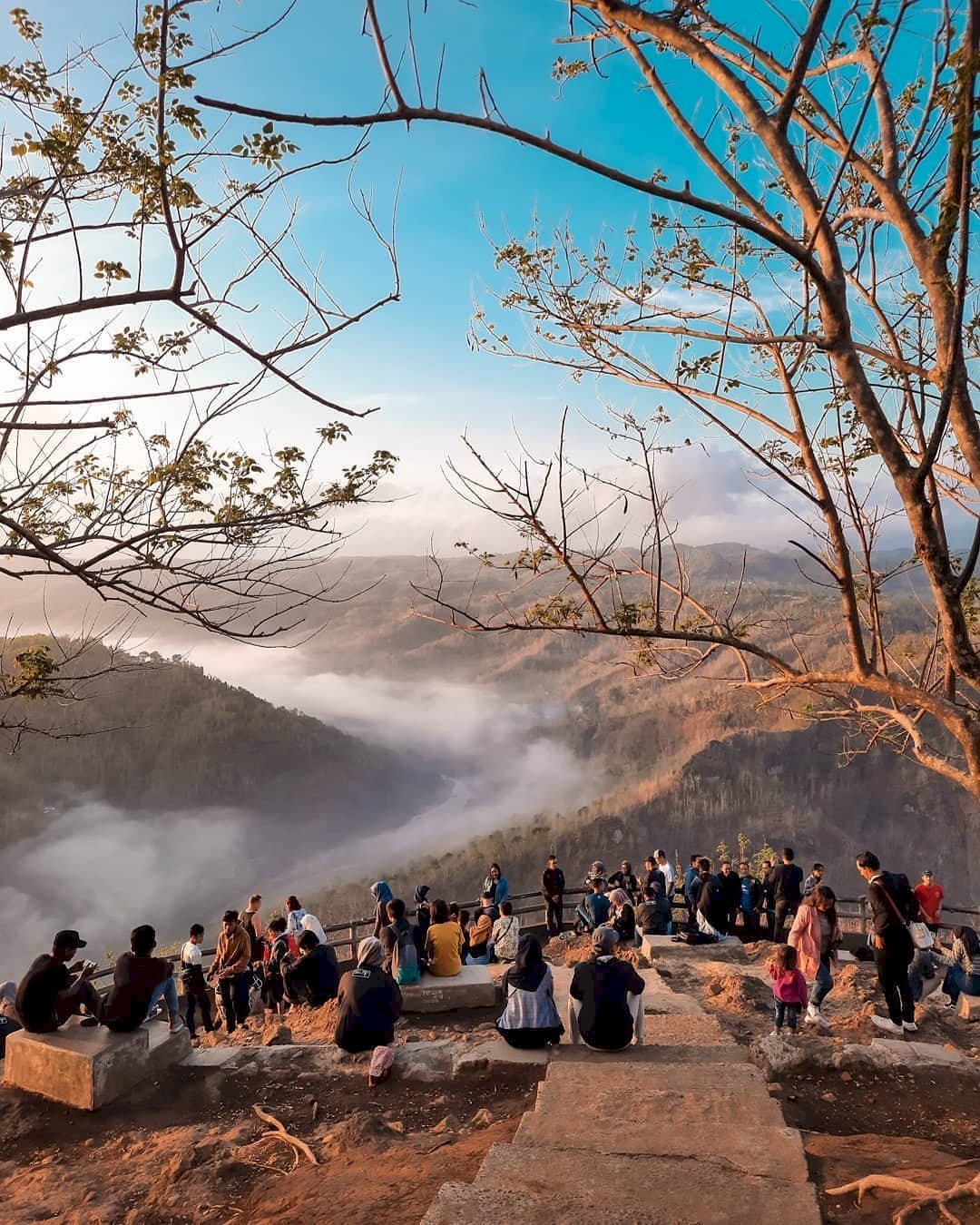 Bangun Pagi Demi View Seindah Ini? Cuma di Kebun Buah Mangunan. Gambar : ig @wijaya_rakhmat