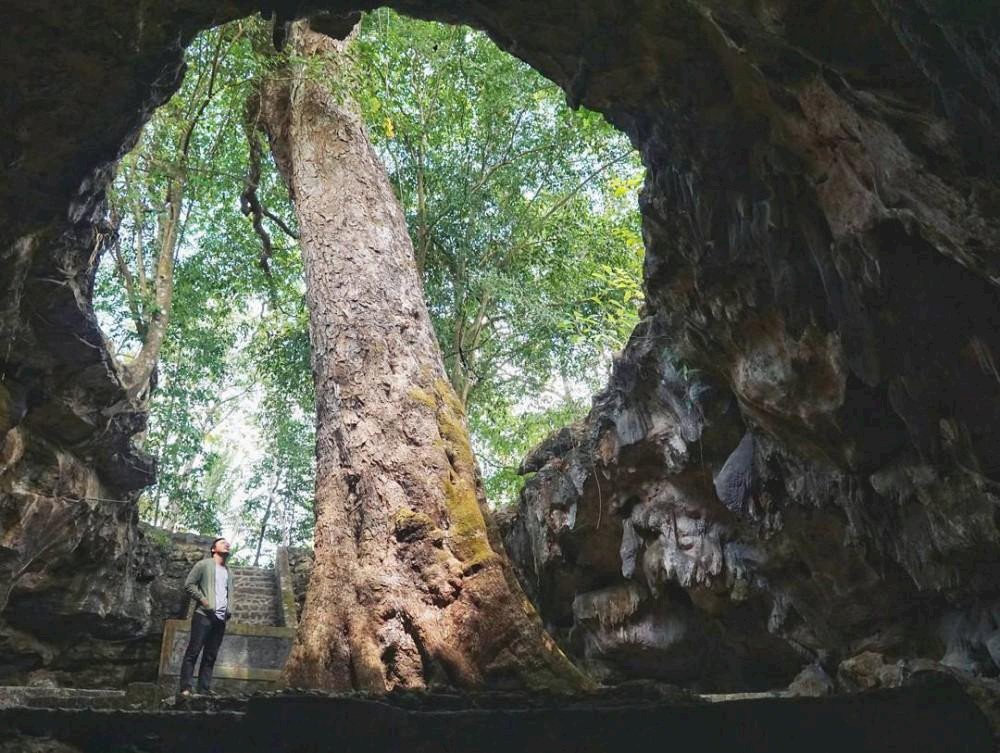 Gua Rancang Kencono, Gua Purba dan Sejarahnya sebagai Tempat Pertemuan Laskar Mataram, dijogja.co. Gua Rancang Kencono, Gua Purba dan Sejarahnya sebagai Tempat Pertemuan Laskar Mataram.