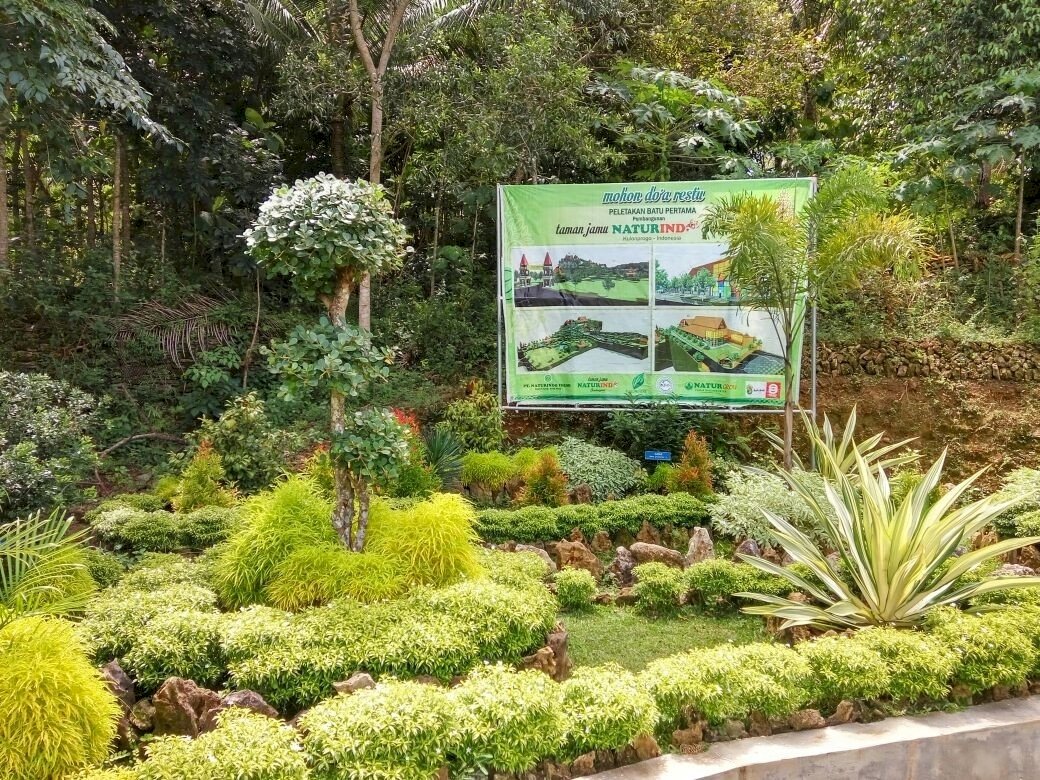 Taman Jamu Naturindo: Rekreasi dan Edukasi tentang Tanaman Jamu di Yogyakarta, dijogja.co. Taman Jamu Naturindo: Rekreasi dan Edukasi tentang Tanaman Jamu di Yogyakarta.